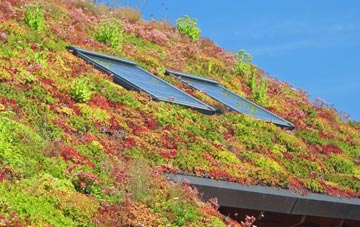 Dunster living roof systems